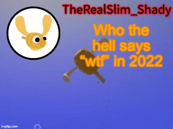 Shady’s hunnabee temp (thanks carlos) | Who the hell says “wtf” in 2022 | image tagged in shady s hunnabee temp thanks carlos | made w/ Imgflip meme maker