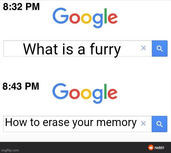 8:32 google search | What is a furry; How to erase your memory | image tagged in 8 32 google search | made w/ Imgflip meme maker