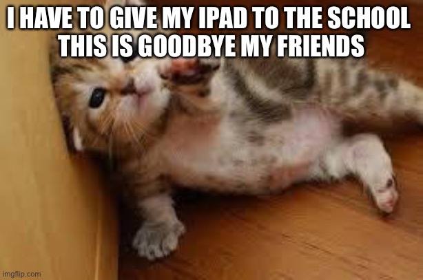 SAY GOODBYE. | I HAVE TO GIVE MY IPAD TO THE SCHOOL 
THIS IS GOODBYE MY FRIENDS | image tagged in sad kitten goodbye | made w/ Imgflip meme maker