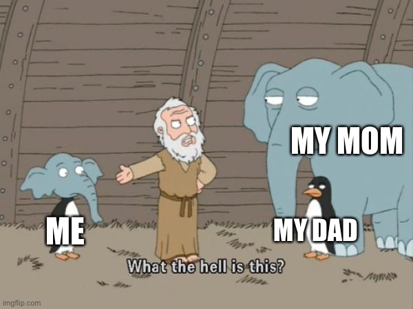 Yes |  MY MOM; MY DAD; ME | image tagged in what the hell is this | made w/ Imgflip meme maker