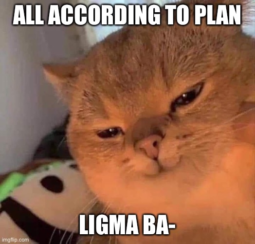 ALL ACCORDING TO PLAN LIGMA BA- | image tagged in evil looking cat | made w/ Imgflip meme maker
