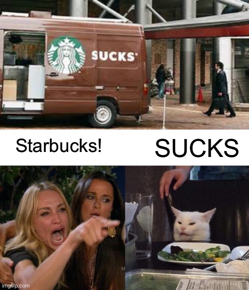 Funny Starbucks Car Design |  Starbucks! SUCKS | image tagged in memes,woman yelling at cat | made w/ Imgflip meme maker