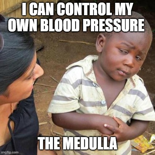 Third World Skeptical Kid | I CAN CONTROL MY OWN BLOOD PRESSURE; THE MEDULLA | image tagged in memes,third world skeptical kid | made w/ Imgflip meme maker