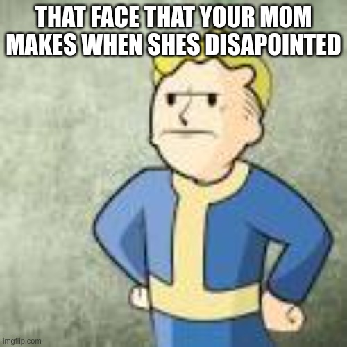 mom no! | THAT FACE THAT YOUR MOM MAKES WHEN SHES DISAPOINTED | image tagged in disapointed mom | made w/ Imgflip meme maker