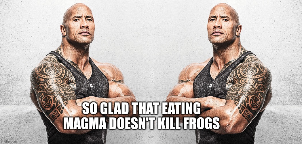 SO GLAD THAT EATING MAGMA DOESN'T KILL FROGS | made w/ Imgflip meme maker