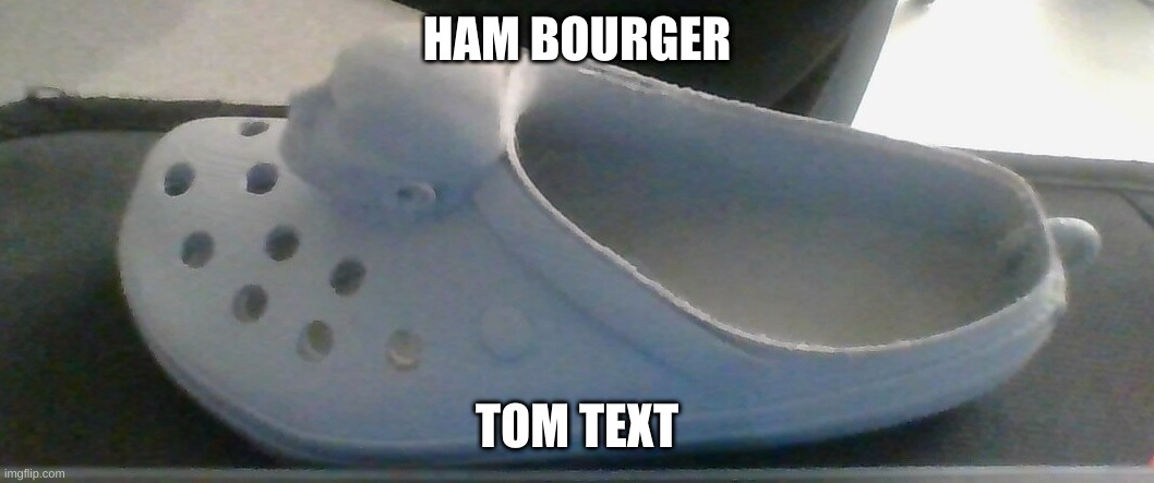 ham rock | HAM BOURGER; TOM TEXT | image tagged in rock,croc,funny,funny memes | made w/ Imgflip meme maker