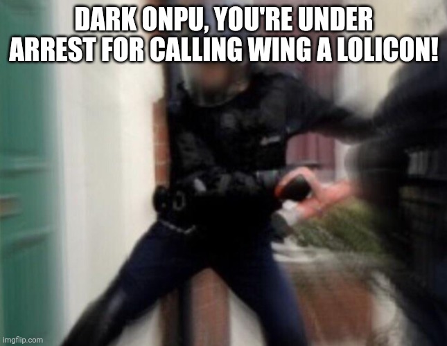 FBI Open Up | DARK ONPU, YOU'RE UNDER ARREST FOR CALLING WING A LOLICON! | image tagged in fbi open up | made w/ Imgflip meme maker