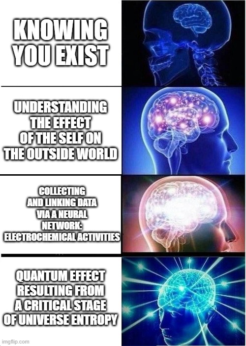 Expanding Brain Meme | KNOWING YOU EXIST; UNDERSTANDING THE EFFECT OF THE SELF ON THE OUTSIDE WORLD; COLLECTING AND LINKING DATA VIA A NEURAL NETWORK: ELECTROCHEMICAL ACTIVITIES; QUANTUM EFFECT RESULTING FROM A CRITICAL STAGE OF UNIVERSE ENTROPY | image tagged in expanding brain | made w/ Imgflip meme maker