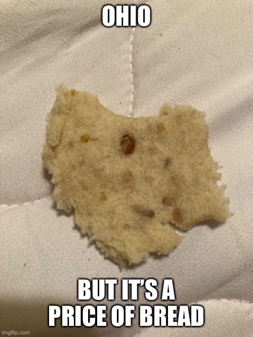 Ohio bread | OHIO; BUT IT’S A PRICE OF BREAD | image tagged in bread,ohio | made w/ Imgflip meme maker