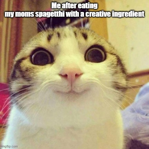 Its a very nice and cool ingredient | Me after eating my moms spagetthi with a creative ingredient | image tagged in memes,smiling cat | made w/ Imgflip meme maker