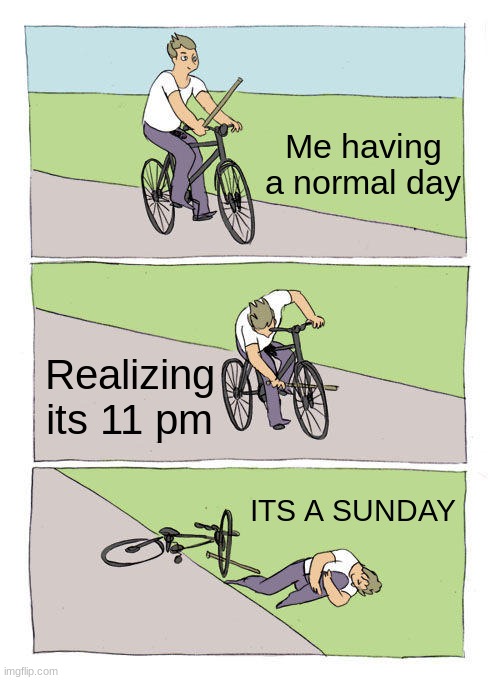 LIFE | Me having a normal day; Realizing its 11 pm; ITS A SUNDAY | image tagged in memes,bike fall | made w/ Imgflip meme maker