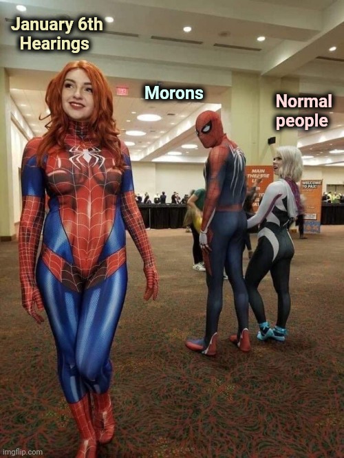 Distracted Boyfriend (cosplay) | January 6th
  Hearings Normal
 people Morons | image tagged in distracted boyfriend cosplay | made w/ Imgflip meme maker