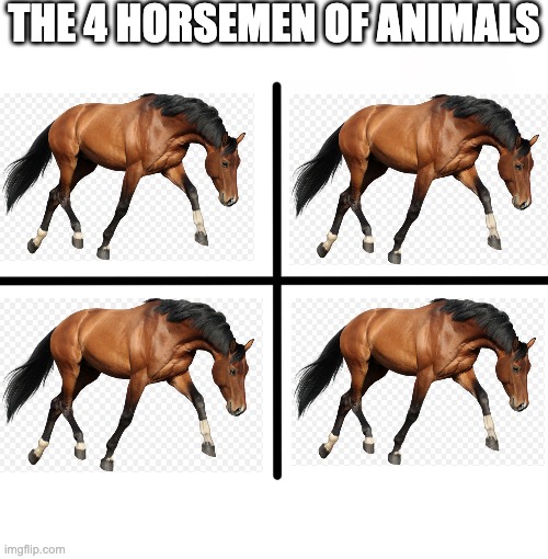Image Title | THE 4 HORSEMEN OF ANIMALS | image tagged in memes,blank starter pack,horse,4 horsemen,funny memes,funny | made w/ Imgflip meme maker