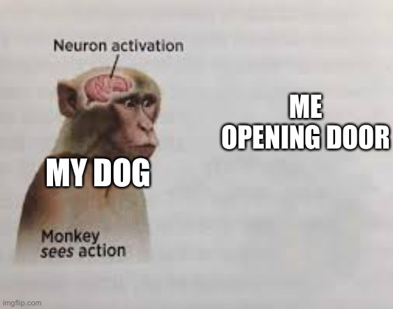 Neuron activation | ME OPENING DOOR; MY DOG | image tagged in neuron activation | made w/ Imgflip meme maker