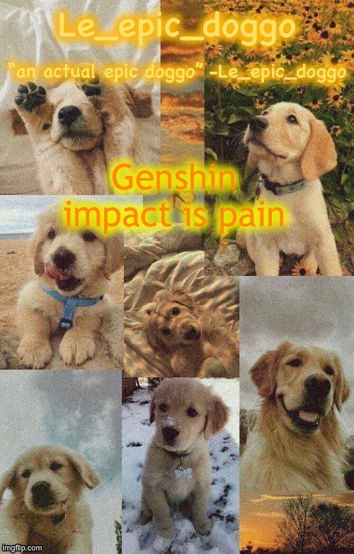 Doggo temp by doggo. Wait what that’s confusing | Genshin impact is pain | image tagged in doggo temp by doggo wait what that s confusing | made w/ Imgflip meme maker