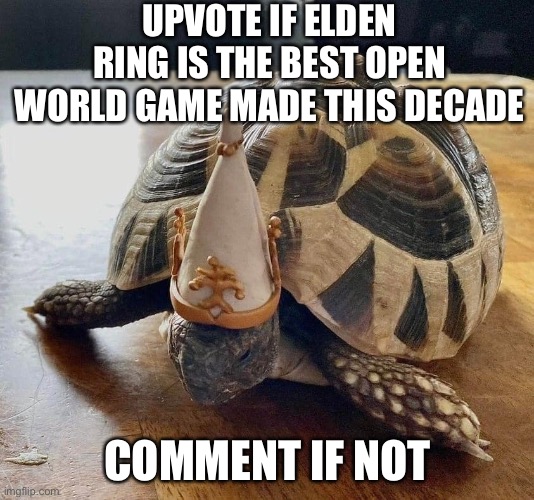 dog | UPVOTE IF ELDEN RING IS THE BEST OPEN WORLD GAME MADE THIS DECADE; COMMENT IF NOT | image tagged in dog | made w/ Imgflip meme maker