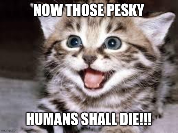 happy cat | NOW THOSE PESKY HUMANS SHALL DIE!!! | image tagged in happy cat | made w/ Imgflip meme maker