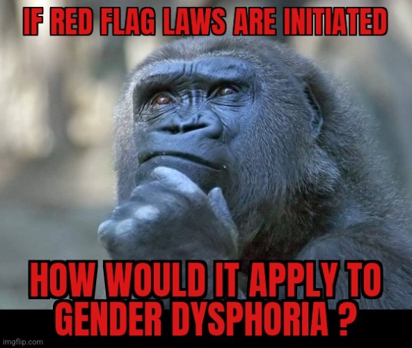 HHHMMMM ? | image tagged in transgender,red flag laws,mental illness | made w/ Imgflip meme maker