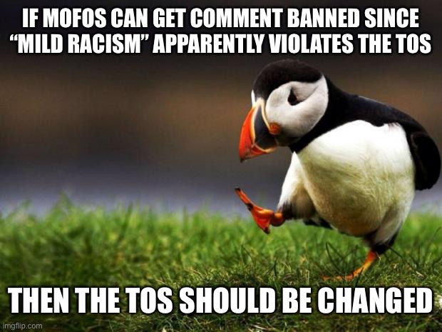 Unpopular Opinion Puffin | IF MOFOS CAN GET COMMENT BANNED SINCE “MILD RACISM” APPARENTLY VIOLATES THE TOS; THEN THE TOS SHOULD BE CHANGED | image tagged in memes,unpopular opinion puffin | made w/ Imgflip meme maker