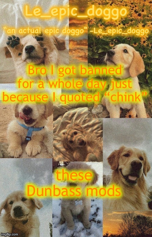 Doggo temp by doggo. Wait what that’s confusing | Bro I got banned for a whole day just because I quoted “chink”; these Dunbass mods | image tagged in doggo temp by doggo wait what that s confusing | made w/ Imgflip meme maker
