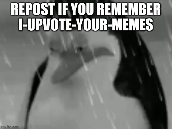 I know him irl so don’t use my join date as a way to say “cap” | REPOST IF YOU REMEMBER I-UPVOTE-YOUR-MEMES | image tagged in sadge | made w/ Imgflip meme maker