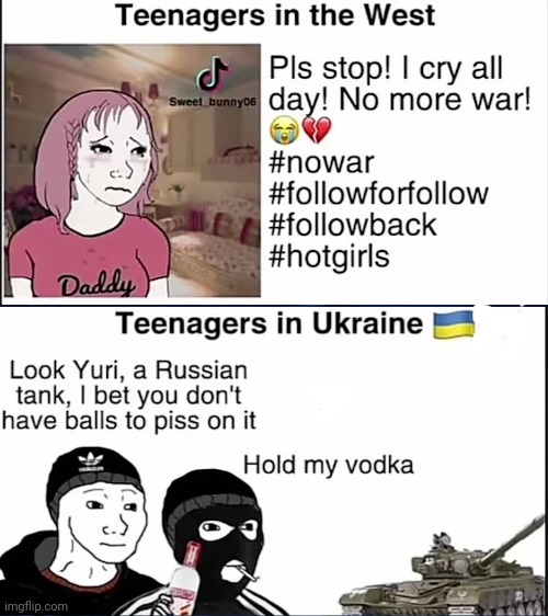 made w/ Imgflip meme maker