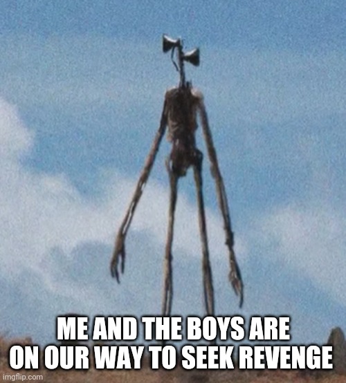 siren head | ME AND THE BOYS ARE ON OUR WAY TO SEEK REVENGE | image tagged in siren head | made w/ Imgflip meme maker