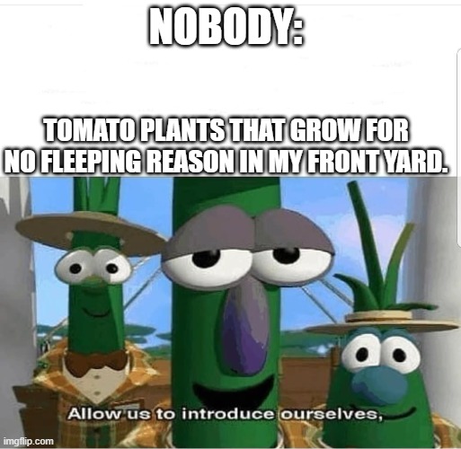 Allow us to introduce ourselves | NOBODY:; TOMATO PLANTS THAT GROW FOR NO FLEEPING REASON IN MY FRONT YARD. | image tagged in allow us to introduce ourselves | made w/ Imgflip meme maker