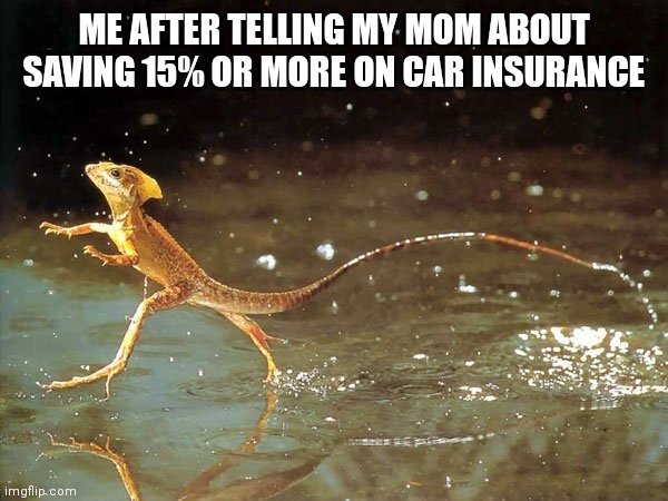 ME AFTER TELLING MY MOM ABOUT SAVING 15% OR MORE ON CAR INSURANCE | image tagged in geico | made w/ Imgflip meme maker