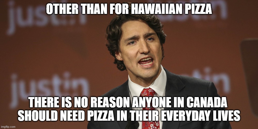 Trudeau BANS Pizza | OTHER THAN FOR HAWAIIAN PIZZA; THERE IS NO REASON ANYONE IN CANADA 
SHOULD NEED PIZZA IN THEIR EVERYDAY LIVES | image tagged in justin trudeau,hockey,gun control,guns,top gun,joe biden | made w/ Imgflip meme maker