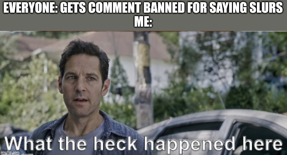 antman what the heck happened here | EVERYONE: GETS COMMENT BANNED FOR SAYING SLURS
ME: | image tagged in antman what the heck happened here | made w/ Imgflip meme maker