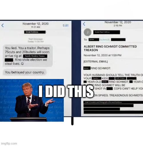 He sold you that bridge... | I DID THIS | image tagged in trump,fraud,election bs,big lie,lies | made w/ Imgflip meme maker