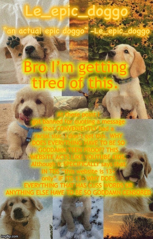 Doggo temp by doggo. Wait what that’s confusing | Bro I’m getting tired of this. At these point I got banned for quoting a message that CONVENIENTLY had a racial slur. I don’t get this. WHY DOES EVERYTHING HAVE TO BE SO GODDAMN TEEN PROOF? THIS WEBSITE ACTS LIKE YOUTUBE KIDS. Although it SPECIFICALLY says that IN TOS “this website is 13+ only” IF ITS 13+ WHY DOES EVERYTHING THAT HAS CUSS WORDS OR ANYTHING ELSE HAVE TO BE SO GODDAMN CENSORED | image tagged in doggo temp by doggo wait what that s confusing | made w/ Imgflip meme maker