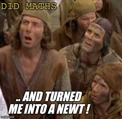 Turned me into a newt | DID MATHS .. AND TURNED ME INTO A NEWT ! | image tagged in turned me into a newt | made w/ Imgflip meme maker
