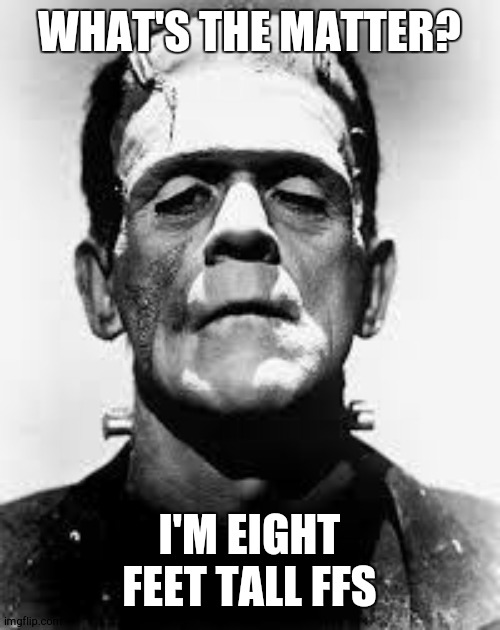 when she says she only dates tall guys | WHAT'S THE MATTER? I'M EIGHT FEET TALL FFS | image tagged in frankenstein's monster | made w/ Imgflip meme maker