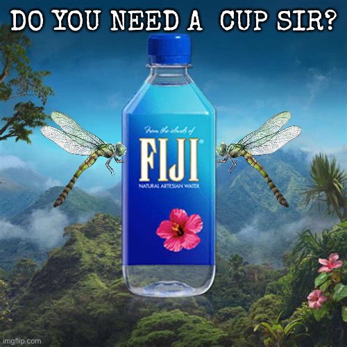 DO YOU NEED A  CUP SIR? | made w/ Imgflip meme maker