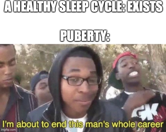 Ah, yes, bad ol' puberty | A HEALTHY SLEEP CYCLE: EXISTS; PUBERTY: | image tagged in i m about to end this man s whole career,puberty,sleep,relatable | made w/ Imgflip meme maker