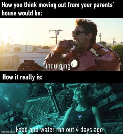 Differences | image tagged in tony stark | made w/ Imgflip meme maker