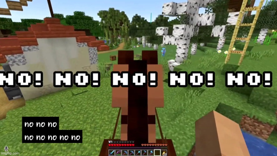 No! No no no no no no no no noo! | image tagged in no no no no no no no no no noo | made w/ Imgflip meme maker