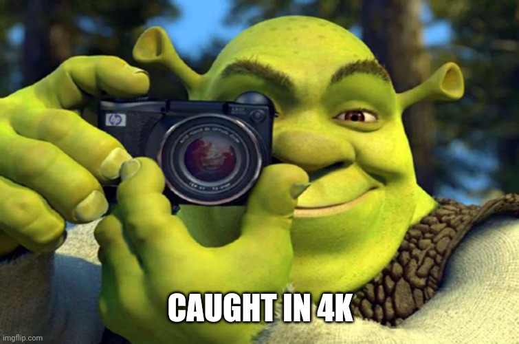 Shrek Caught in 4K | CAUGHT IN 4K | image tagged in shrek caught in 4k | made w/ Imgflip meme maker