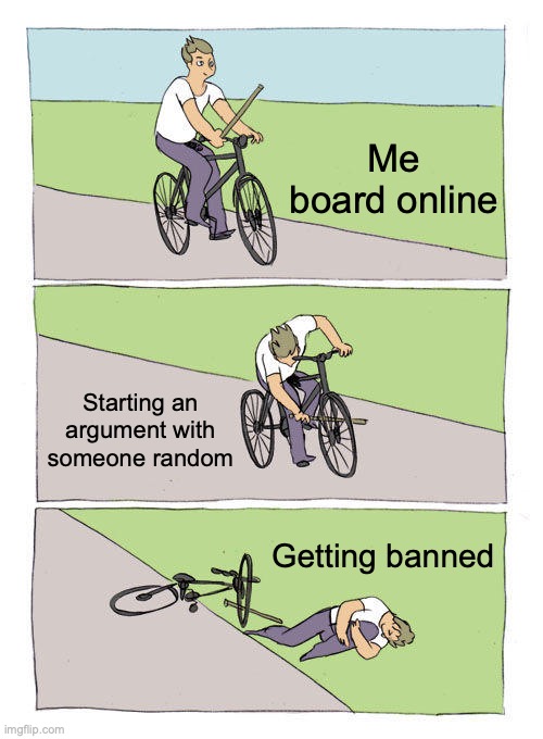 Bike Fall | Me board online; Starting an argument with someone random; Getting banned | image tagged in memes,bike fall,online,social media | made w/ Imgflip meme maker