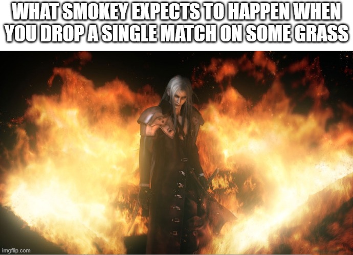 Only you can start wildfires :) | WHAT SMOKEY EXPECTS TO HAPPEN WHEN YOU DROP A SINGLE MATCH ON SOME GRASS | image tagged in sephiroth in fire | made w/ Imgflip meme maker