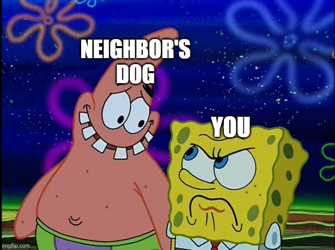 When you see poo on your lawn | NEIGHBOR'S DOG; YOU | image tagged in x angry at y,spongebob squarepants,spongebob,memes | made w/ Imgflip meme maker