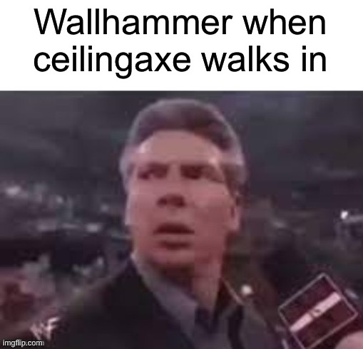 x when x walks in | Wallhammer when ceilingaxe walks in | image tagged in x when x walks in | made w/ Imgflip meme maker
