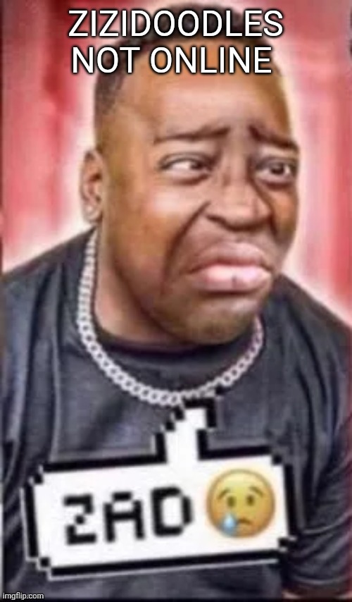 ZIZIDOODLES NOT ONLINE | image tagged in zad | made w/ Imgflip meme maker