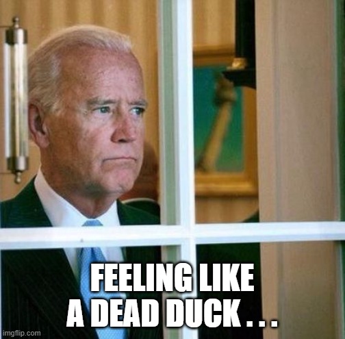 Sad Joe Biden | FEELING LIKE A DEAD DUCK . . . | image tagged in sad joe biden | made w/ Imgflip meme maker