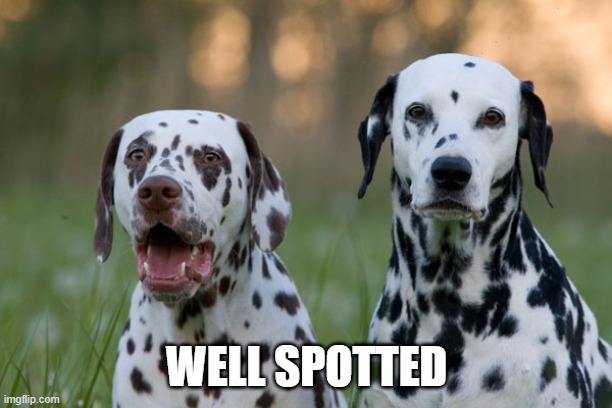 Punny Dalmatians | WELL SPOTTED | image tagged in punny dalmatians | made w/ Imgflip meme maker