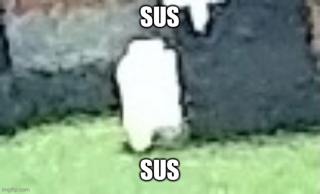 SUS SUS | made w/ Imgflip meme maker