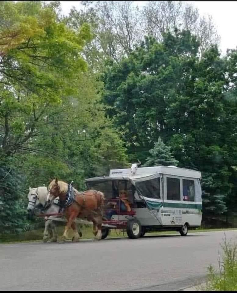 High Quality Amish Camper Blank Meme Template