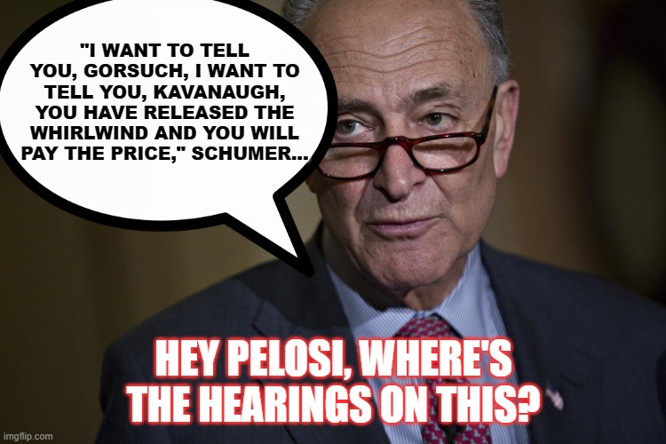 Hearings | "I WANT TO TELL YOU, GORSUCH, I WANT TO TELL YOU, KAVANAUGH, YOU HAVE RELEASED THE WHIRLWIND AND YOU WILL PAY THE PRICE," SCHUMER... HEY PELOSI, WHERE'S THE HEARINGS ON THIS? | image tagged in schumer,pelosi,democrats,j6hearings | made w/ Imgflip meme maker